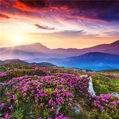 2023带好运最火头像(精选22张)