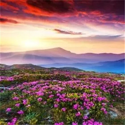 2023年最火的人头像(24张)