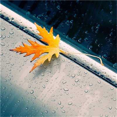 2023最带财的微信头像(18张)