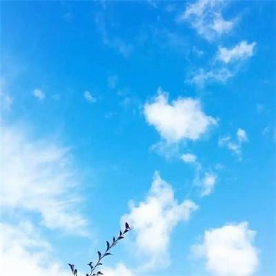 2023最带财的微信头像(18张)