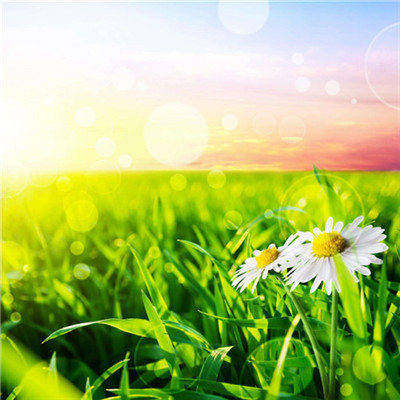 2023年最个性微信头像(22张)