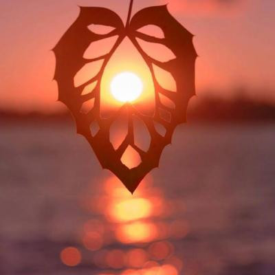 2023年最个性微信头像(22张)