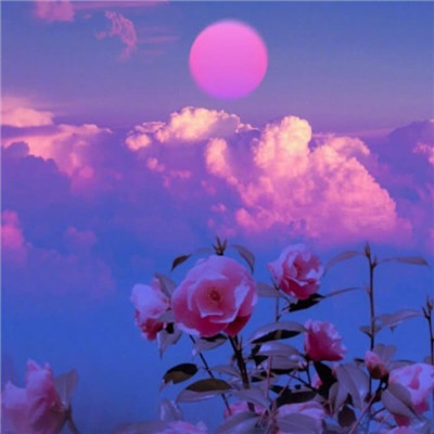 2023年最个性微信头像(22张)