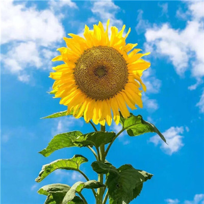 2023年最个性微信头像(22张)