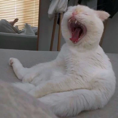 2023年最火的搞笑头像(32张)