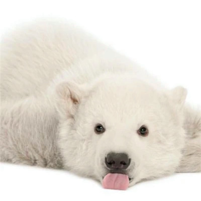 2023年最火的搞笑头像(32张)