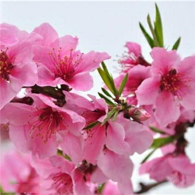 2023最红微信头像(16张)