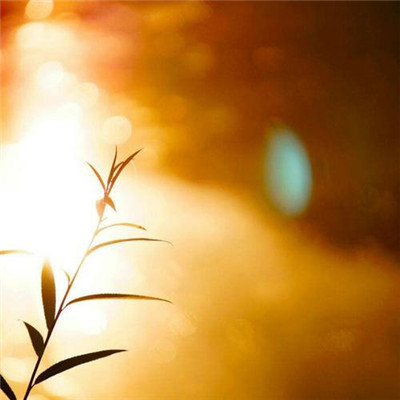 2023最红微信头像(16张)