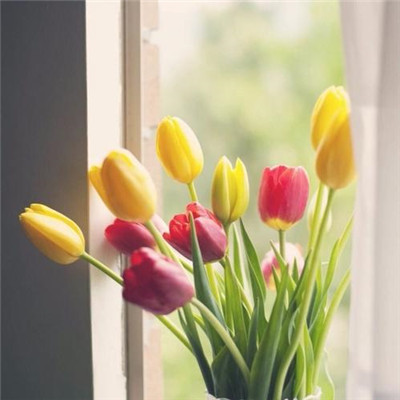 2023最红微信头像(16张)