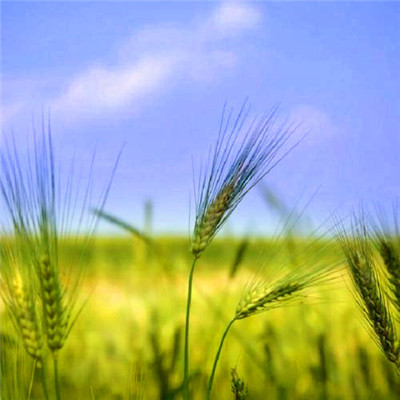 2023最流行洋气头像(24张)