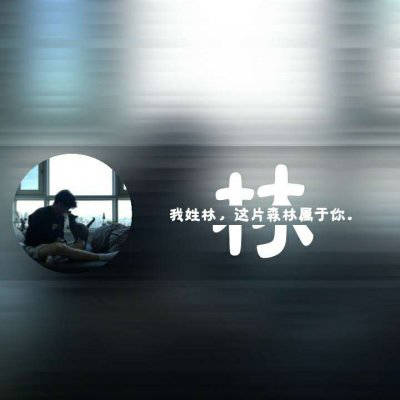 2023最火林姓头像(14张)