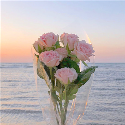 专属2023最火风景头像(精选24张)