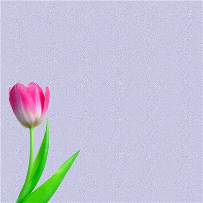 专属2023最火风景头像(精选24张)