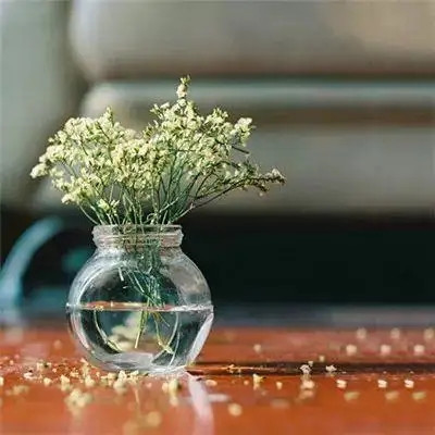 2023年最火的高清头像(精选26张)