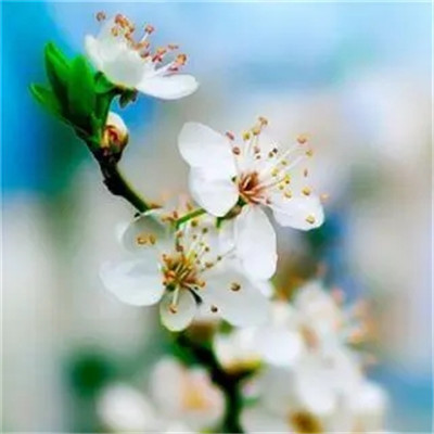 2023年最火的高清头像(精选26张)