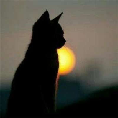 2023最火暴富微信头像(精选23张)