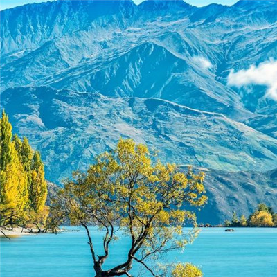 2023最火暴富微信头像(精选23张)