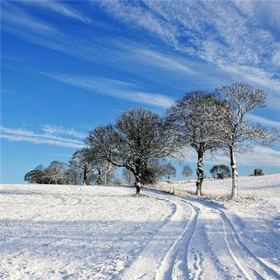 2023最火暴富微信头像(精选23张)