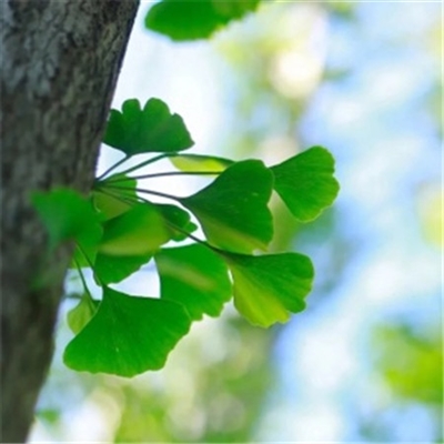 独特头像简单干净(22张)