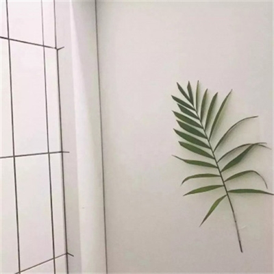 独特头像简单干净(22张)