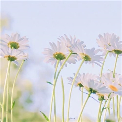 独特头像简单干净(22张)