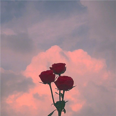 2023年最火爆的风景头像(24张)