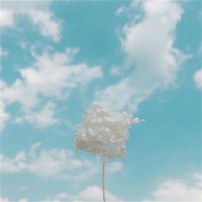 简单干净好看的风景头像(24张)