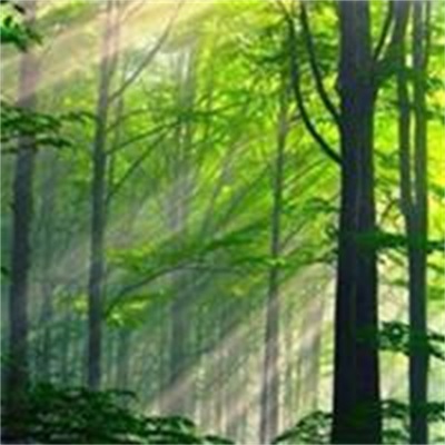 简单干净好看的风景头像(24张)