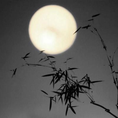 简单干净好看的风景头像(24张)