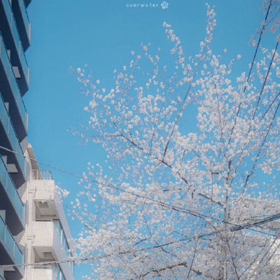 简单干净好看的风景头像(24张)