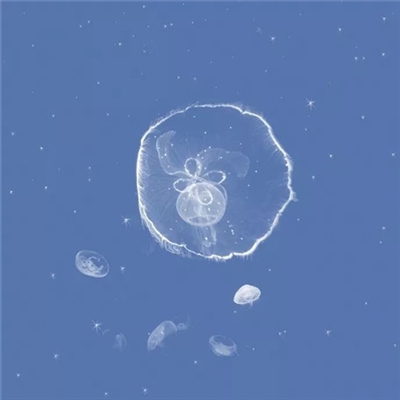 好看的头像简单清新(精选24张)