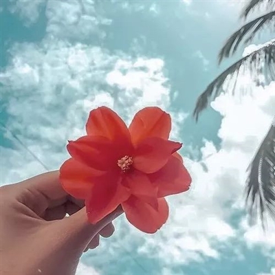 好看的头像简单清新(精选24张)