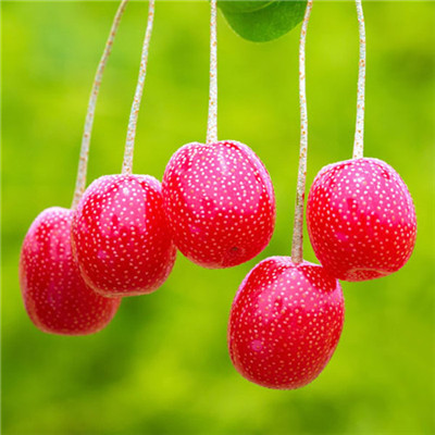 2023微信最吉利头像(精选24张)