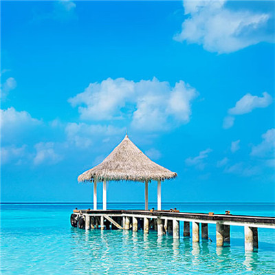 2023微信最吉利头像(精选24张)