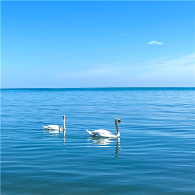 2023微信最吉利头像(精选24张)