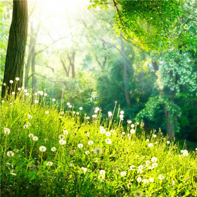 2023微信最吉利头像(精选24张)