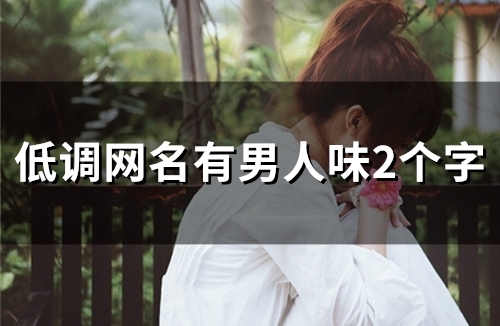 低调网名有男人味2个字(111个) 低调网名有男人味2个字(111个)