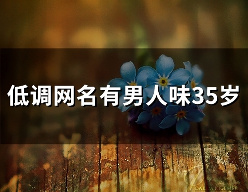 低调网名有男人味35岁(108个) 低调网名有男人味35岁(108个)