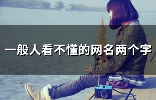 一般人看不懂的网名两个字(精选135个) 一般人看不懂的网名两个字(精选135个)
