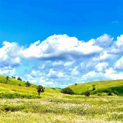 永久吸引人的头像(28张)