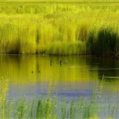 最好看的微信头像景色(24张)