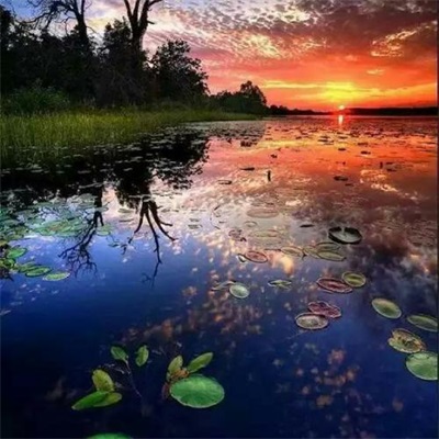 最好看的微信头像景色(24张)