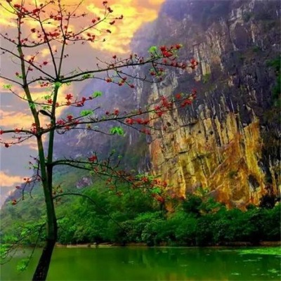 最好看的微信头像景色(24张)