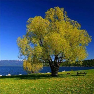 最好看的微信头像景色(24张)