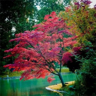 最好看的微信头像景色(24张)