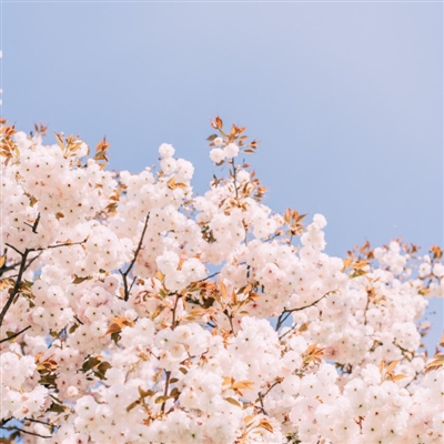 好看景色的微信头像(精选22张)