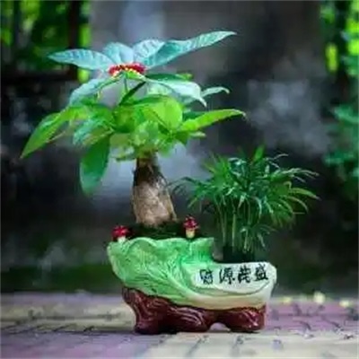 最吉祥最好运的头像(15张)