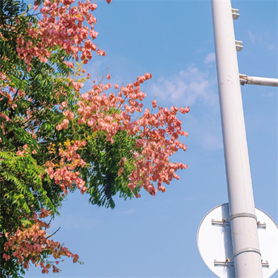 2023新款好看的高清头像(22张)