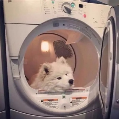 高清超级搞怪可爱的微信头像图片(精选12张)