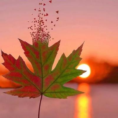 高清高端大气上档次的风景头像图片(精选24张)